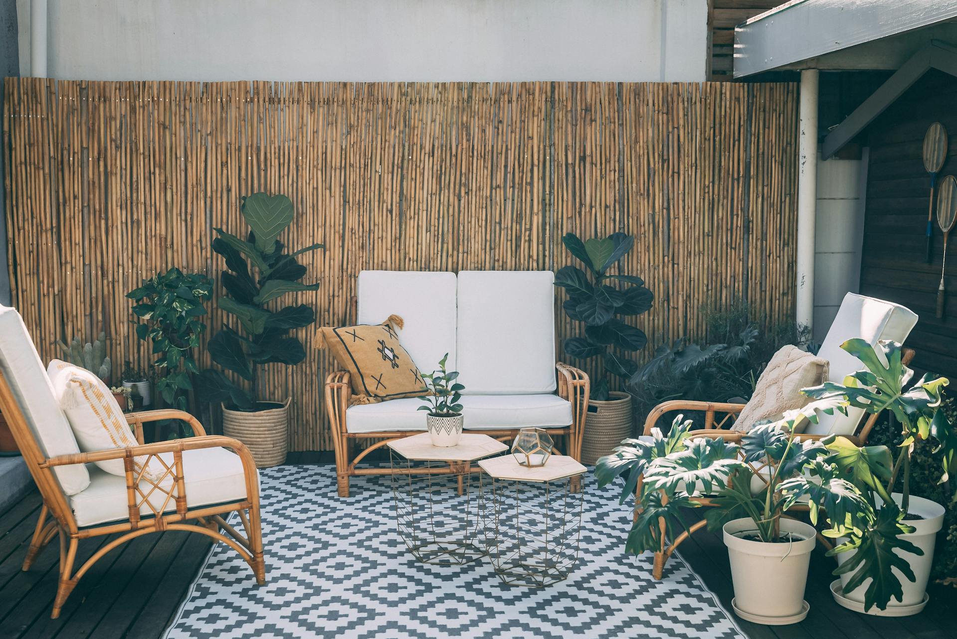 Shop by Biophilia