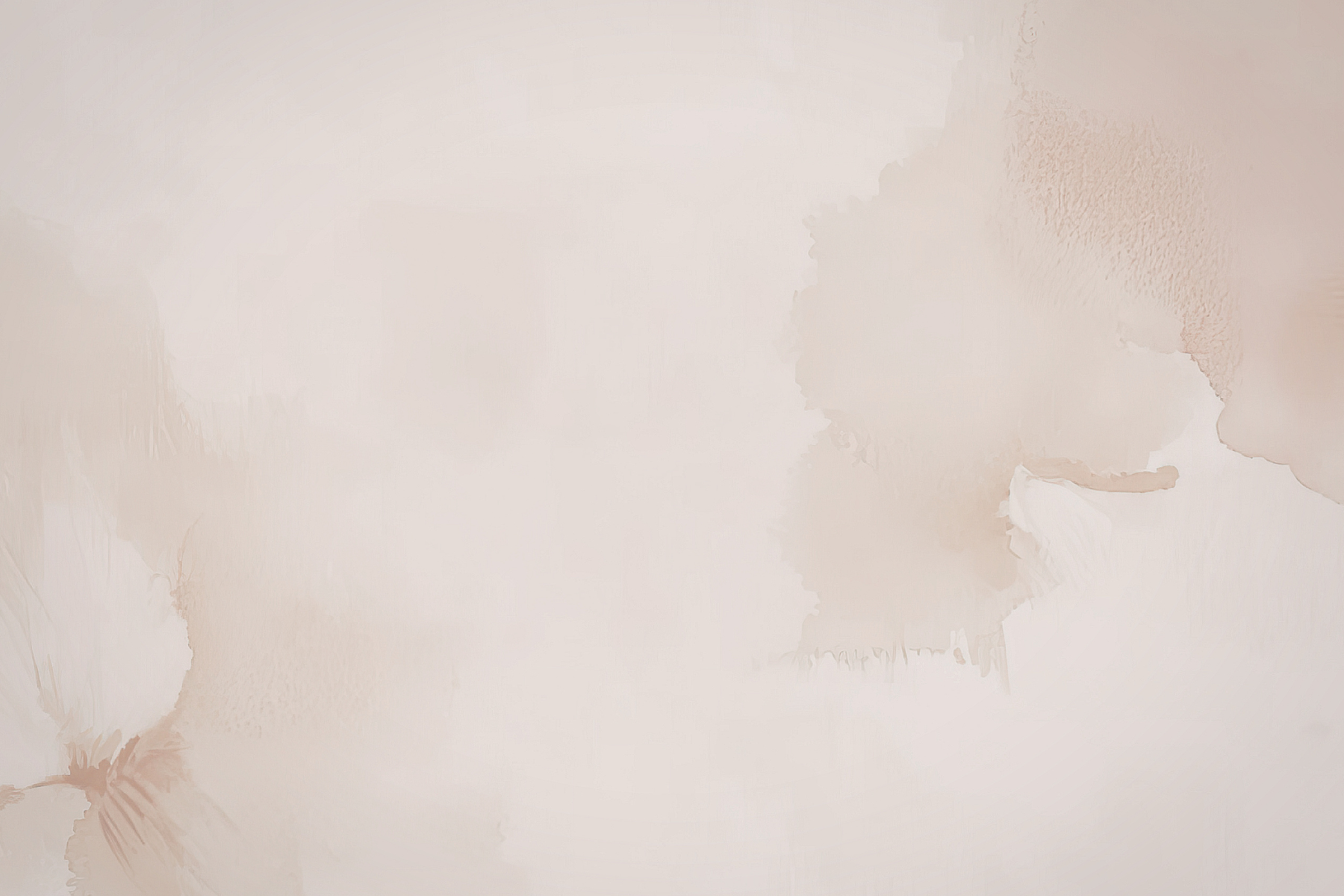 collection-banner-image