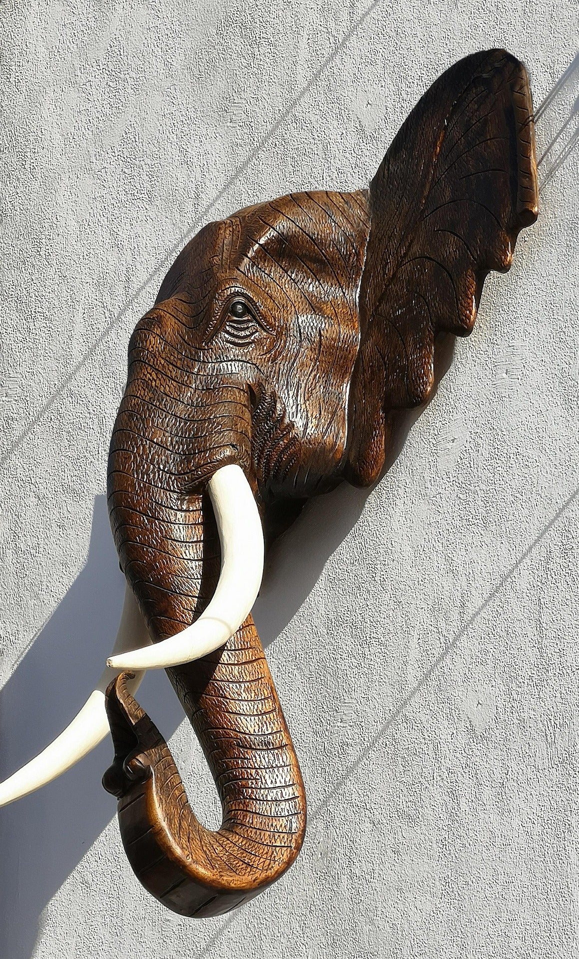Ivory