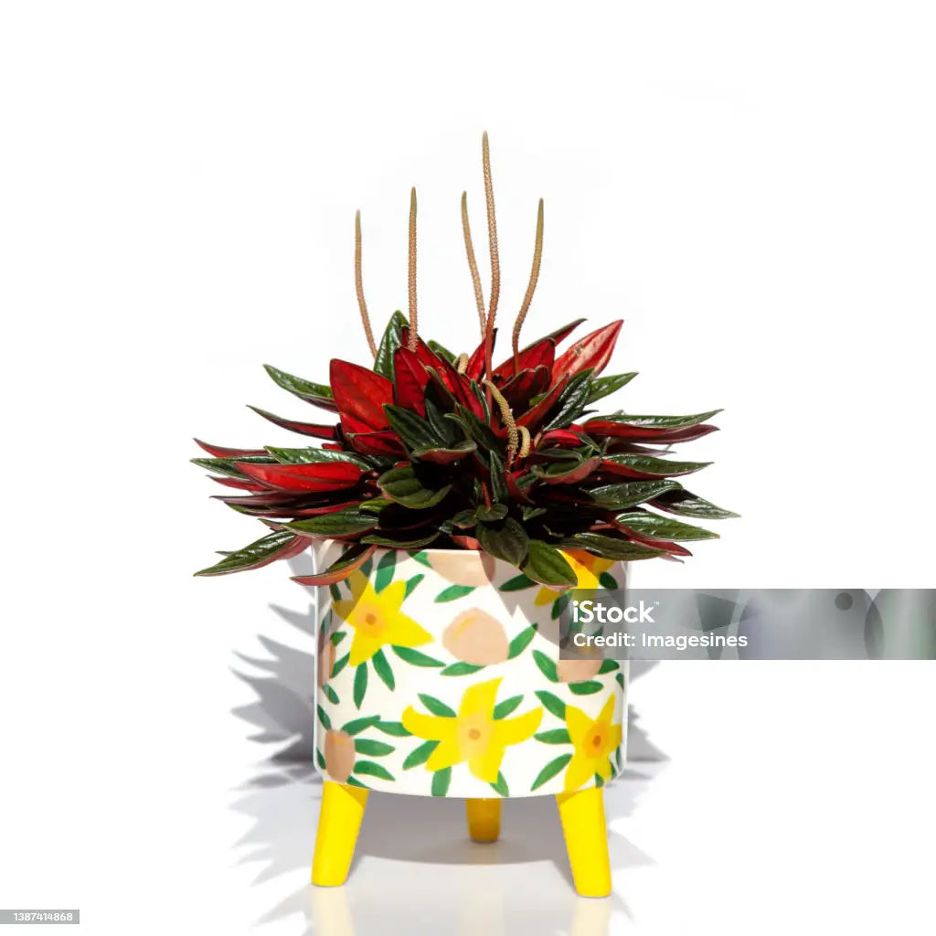 Leaf Vase – Sculptural Botanical Form