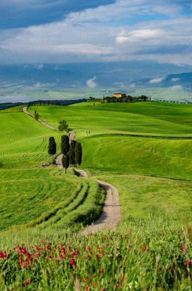 The Green Collection – Calm Tones, Natural Balance